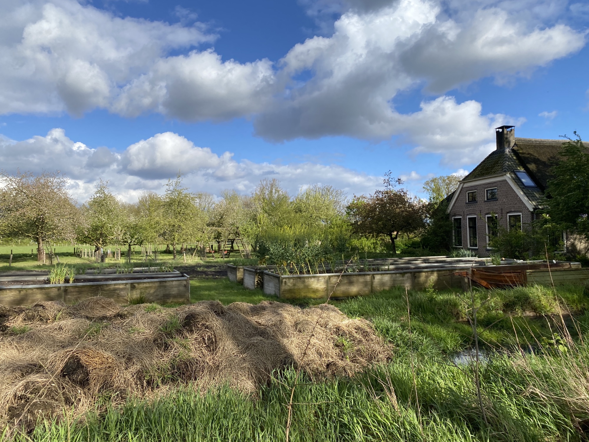 Everyday I Embrace Innovation Outdoors (E-I-E-I-O): First Week on the Cornelissen Farm